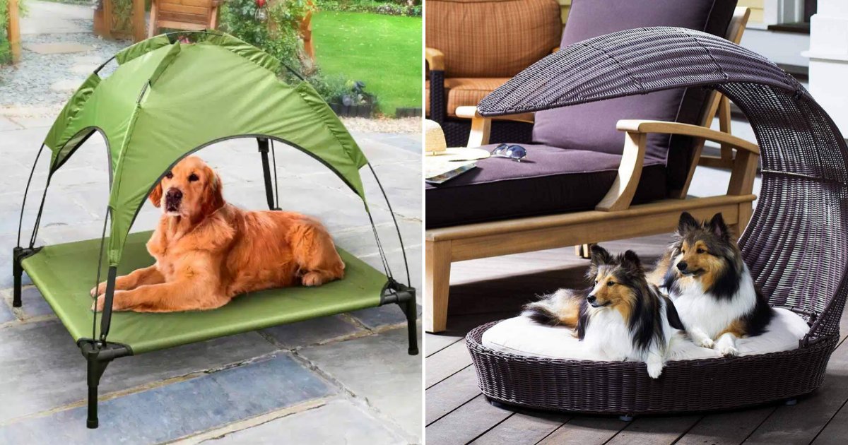 1 22.png?resize=412,275 - B&M Has Launched a New Sun Lounger for Dogs and it Even Has a Roof