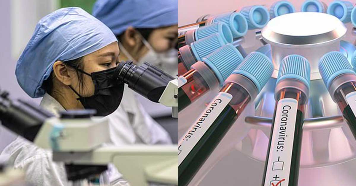 11 61.jpg?fit=1024%2C538&ssl=1&strip=all - Blood Plasma of Recovered Patients Could Give Immunity to Covid-19 Patients