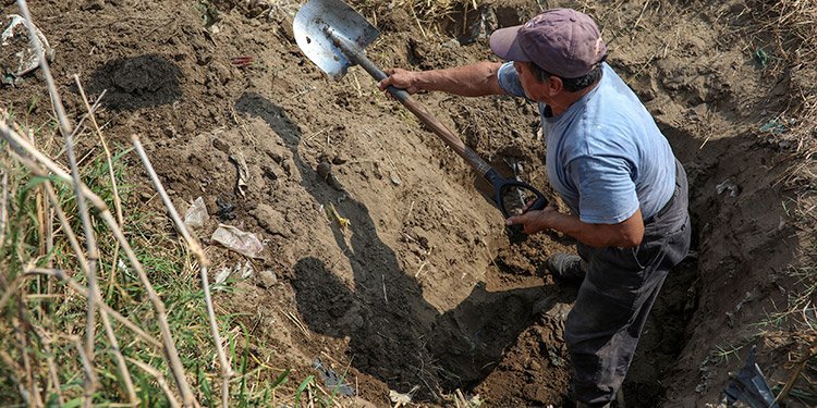 Hombre desentierra a una bebé viva al cavar tumba para sepultar a ...