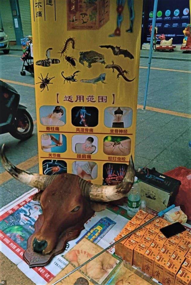 A traditional medicine stall at Dongguan market in southern China advertising bats and other wild animals such as lizards and scorpions as legitimate remedies for common ailments