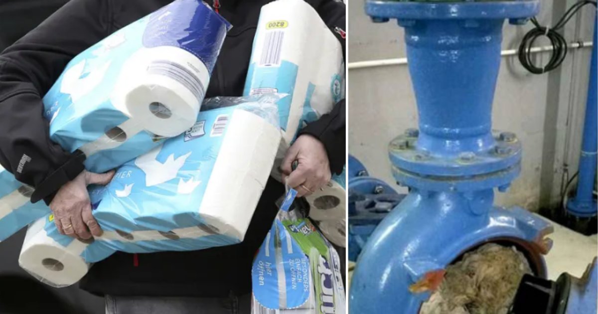 2 54.png?resize=412,232 - People Using Toilet Paper Alternatives May End up Clogging The Sewage Pipes