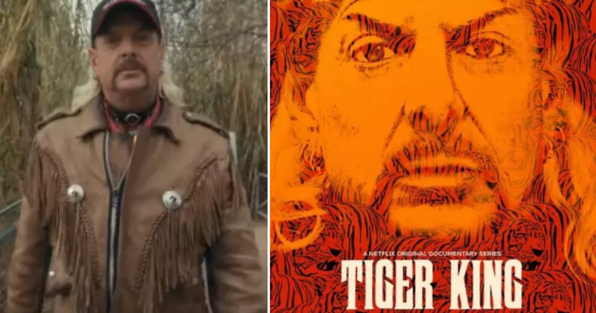 2 64.png?fit=1024%2C538&ssl=1&strip=all - Tiger King is Being Called The Most Docu-Series on Netflix by The Users