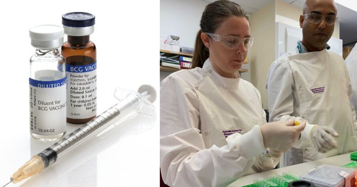 2 78.png?resize=412,275 - Tuberculosis Vaccine To Be Tested On 4000 Australian Healthcare Workers To Protect Against Coronavirus