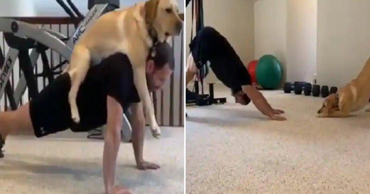 3 29.png?resize=1200,630 - This Man Along With His Paw-sonal Trainer Will Inspire You to Hit The Gym