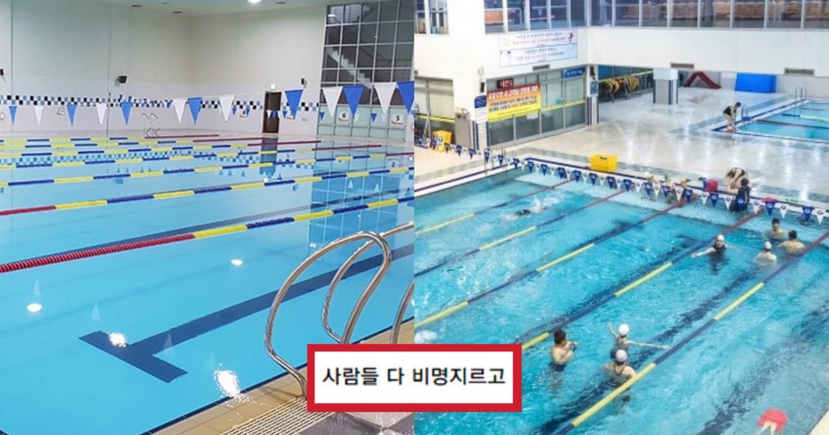 325db221 9809 467a af14 fa2c748f4490 e1585582159270.jpg?fit=1024%2C538&ssl=1&strip=all - “저 때문에 수영장 사람들이 전부 비명질렀어요..”…수영장에 30만원 배상한 ‘충격적인’ 사연
