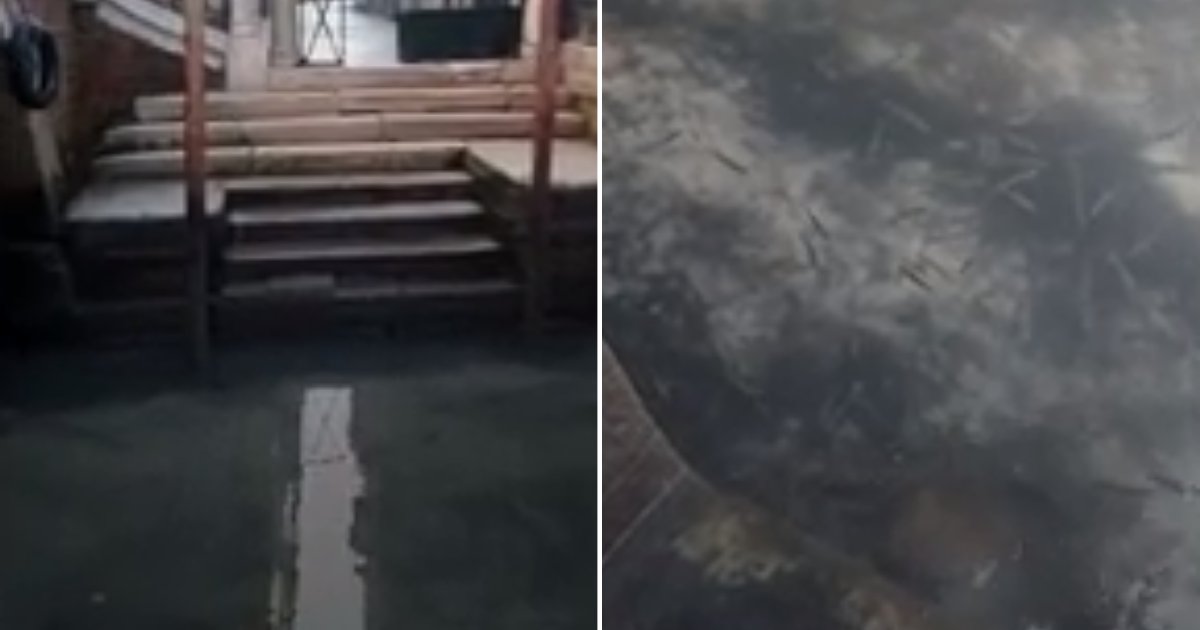 4 44.png?resize=412,275 - Canals In Venice Look Crystal Clear As Covid-18 Keeps Residents And Tourists Away