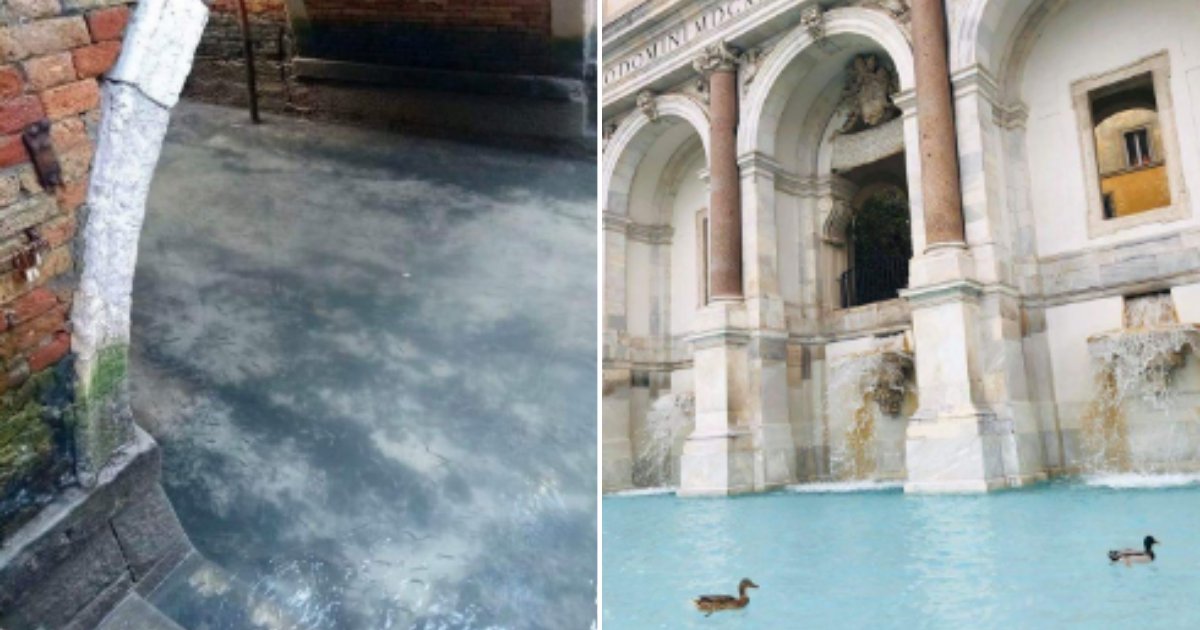 4 46.png?resize=1200,630 - Venice Residents Get Delighted To See Crystal Clear Canals With Fish During Covid-19 Lockdown