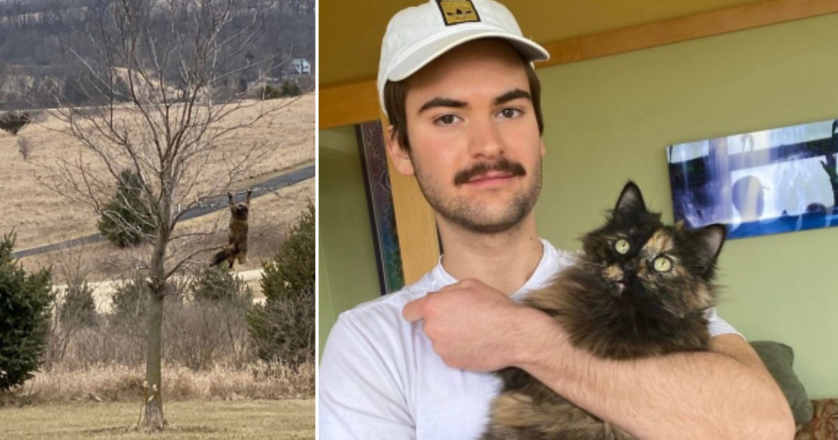 6 59.png?resize=412,275 - Owner Clicks Hilarious Photograph Of Their Cat ‘Hanging In There’ Amid Quarantine