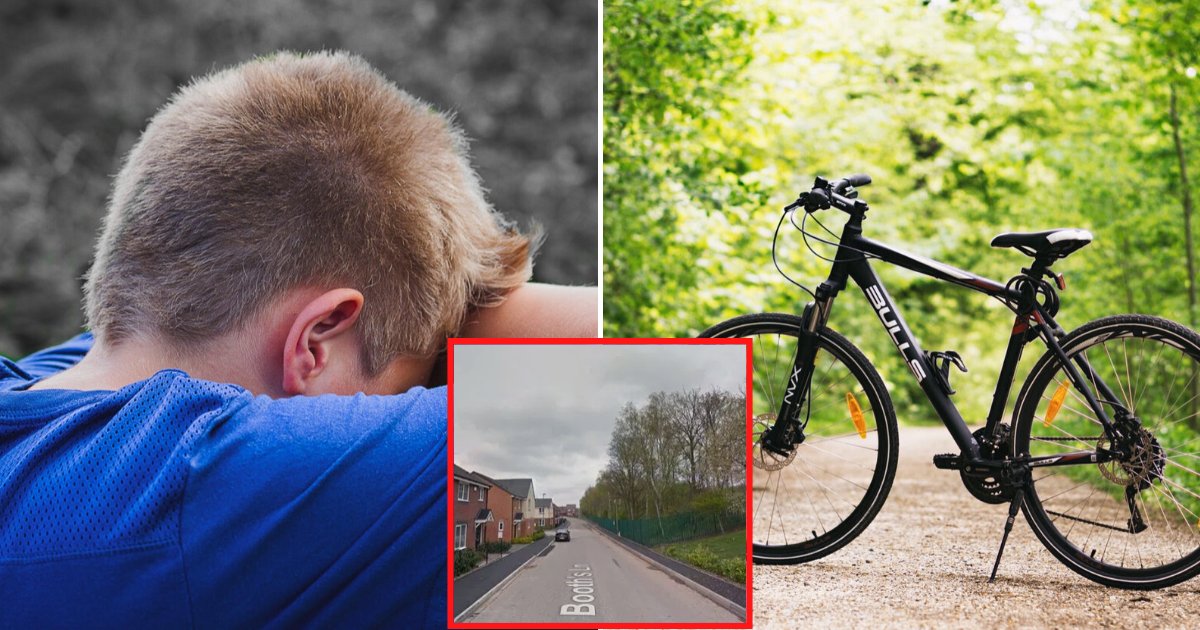 bike2.png?resize=412,275 - Mother Shared Photo Of 12-Year-Old Son With Battered Face After Thugs Attacked Him For His Bike