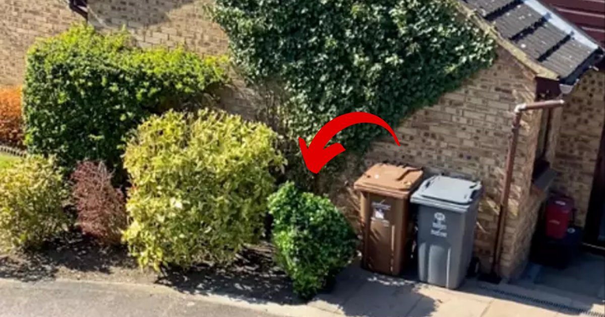 bush6.png?resize=412,275 - Man Caught Escaping COVID-19 Lockdown By Dressing As A BUSH