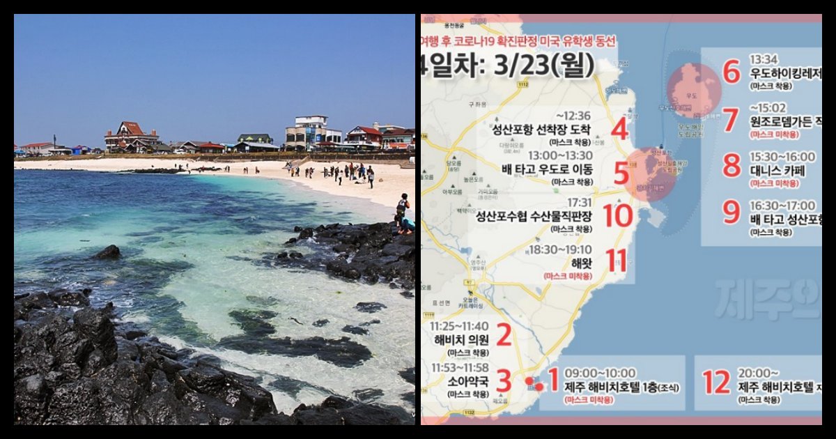 collage 292.png?resize=412,275 - 제주도에 코로나19 테러했다고 봐도 무방한 '美유학' 귀국, 20대 제주 관광녀의 충격 동선