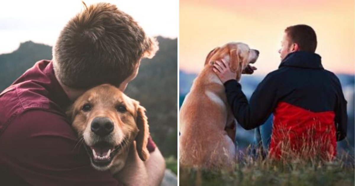 d5 3.png?resize=412,275 - A Dog Saves its Owner’s Life by Fighting a Bear