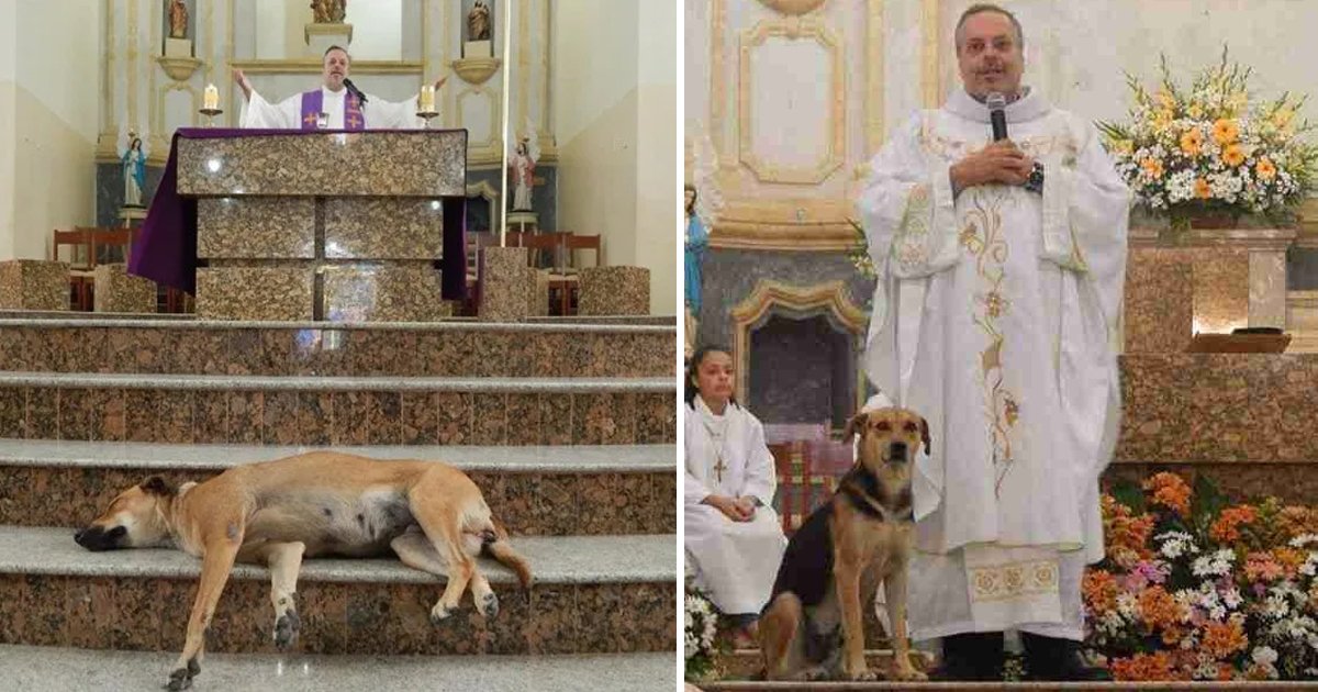 dhdhddd.jpg?resize=1200,630 - Kind-Hearted Priest Brings Stray Dogs To Sunday Mass From Streets To Introduce Them With Adoptive Families