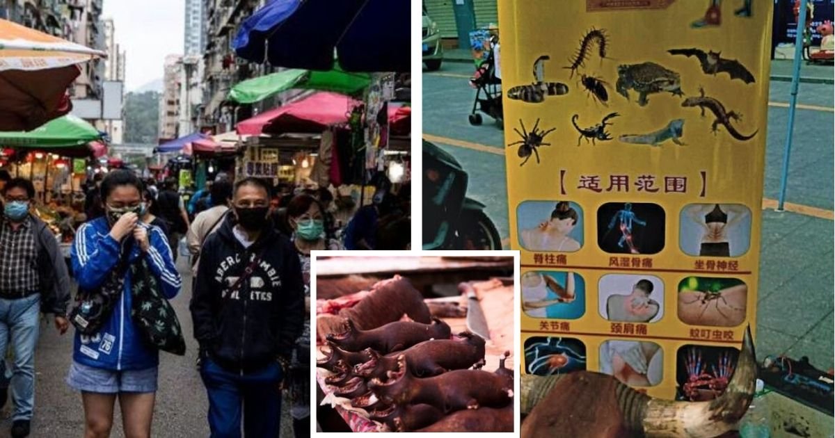 diseno sin titulo 27.jpg?resize=1200,630 - Mercados En China Vuelven A Abrir Y Siguen Vendiendo Todo Tipo De Animales