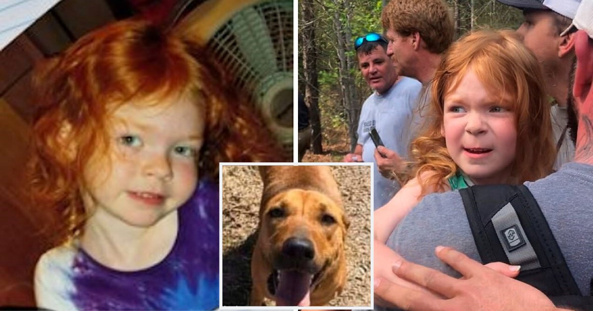 doggo1.png?resize=1200,630 - Dog Was Found Protecting 4-Year-Old Girl Who Had Been Missing For 48 Hours