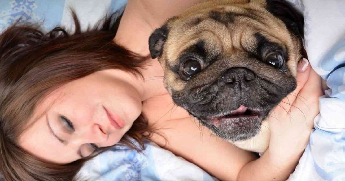 femme 1.jpg?resize=1200,630 - D'après une étude, les femmes dorment mieux avec leur chien qu'avec leur partenaire