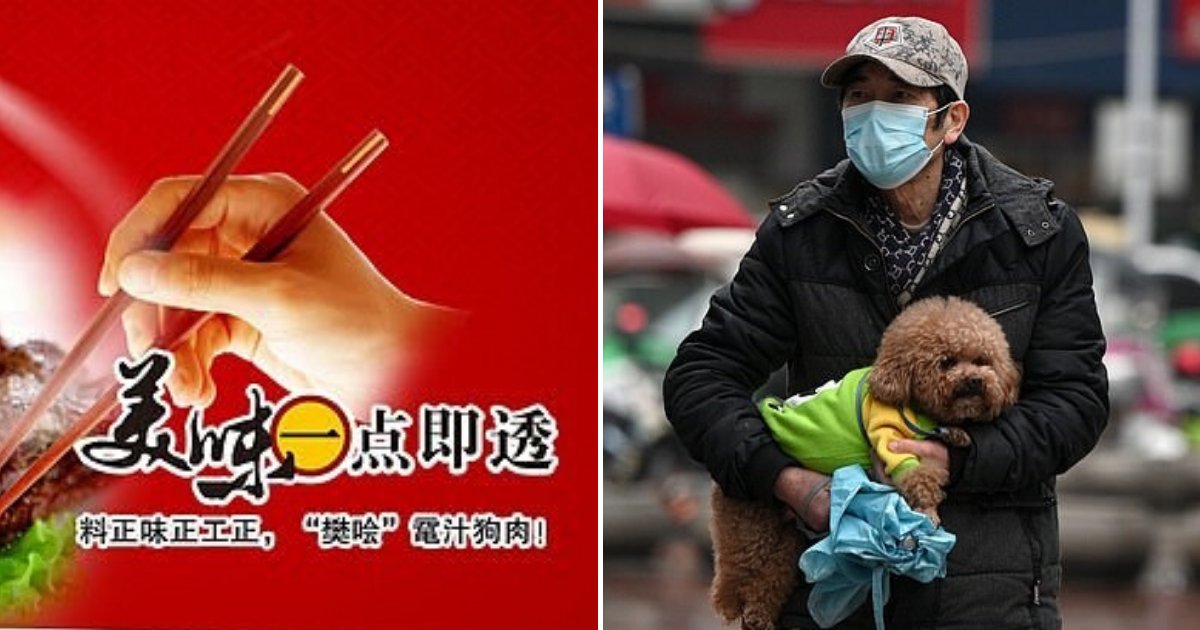 firm3.png?resize=1200,630 - Chinese Company Facing Criticisms For Encouraging People To Consume Pets To Show 'Cultural Confidence' Amid Coronavirus Outbreak