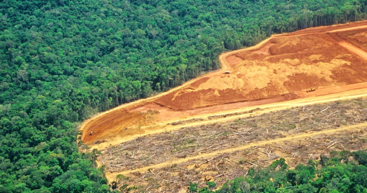 foret amazonienne.png?resize=1200,630 - La forêt amazonienne pourrait bientôt atteindre son point de non-retour et disparaître dans 50 ans