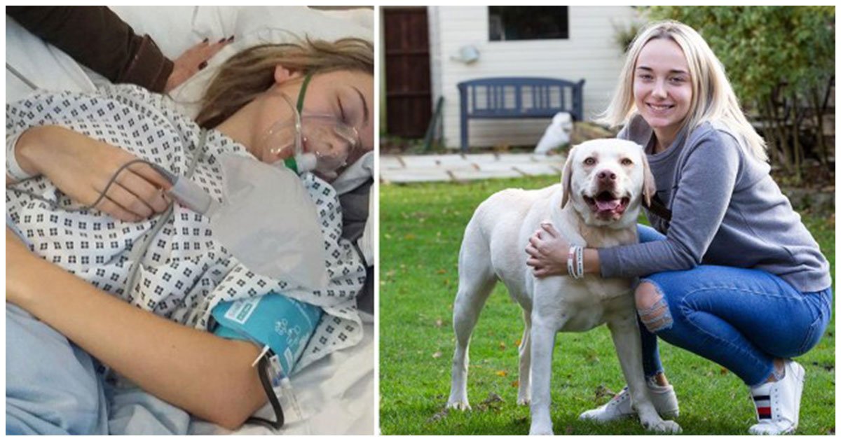 header 24.jpg?resize=412,232 - Un Perro Le Salva La Vida A Su Dueña Que Sufre Ataque De Epilepsia