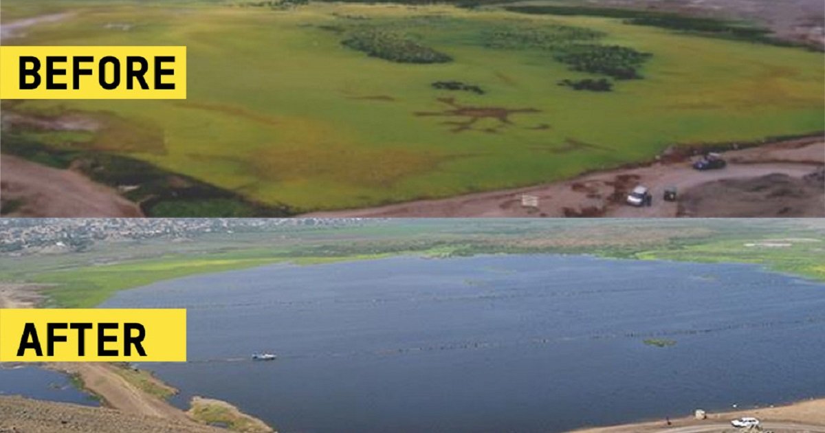 n3.jpg?resize=412,275 - A Scientist Used Nanotechnology To Revive A Contaminated Lake In Peru