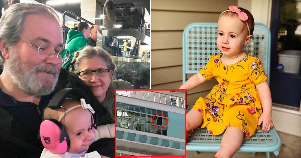 ship7.png?resize=412,275 - Grandfather Who Accidentally Dropped Toddler From Cruise Ship Window Pleaded Guilty To Negligent Homicide
