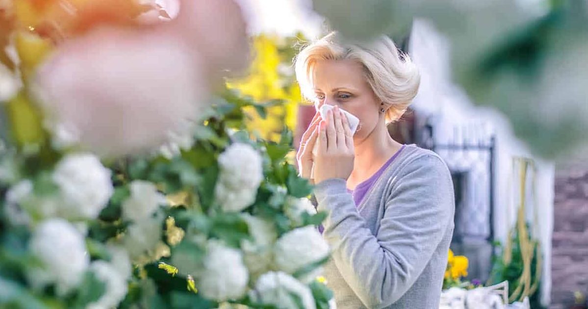 treatment planner for hay fever web e1585174757586.jpg?resize=412,232 - Symptômes d'une allergie ou du coronavirus ? Voici comment faire la différence entre les 2 !