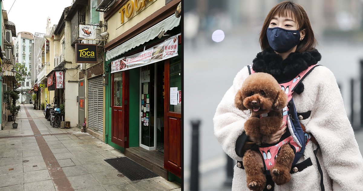 untitled 1 11.jpg?resize=1200,630 - Volunteers Checking Door To Door To Rescue Pets Left Behind During The Coronavirus Outbreak In Wuhan