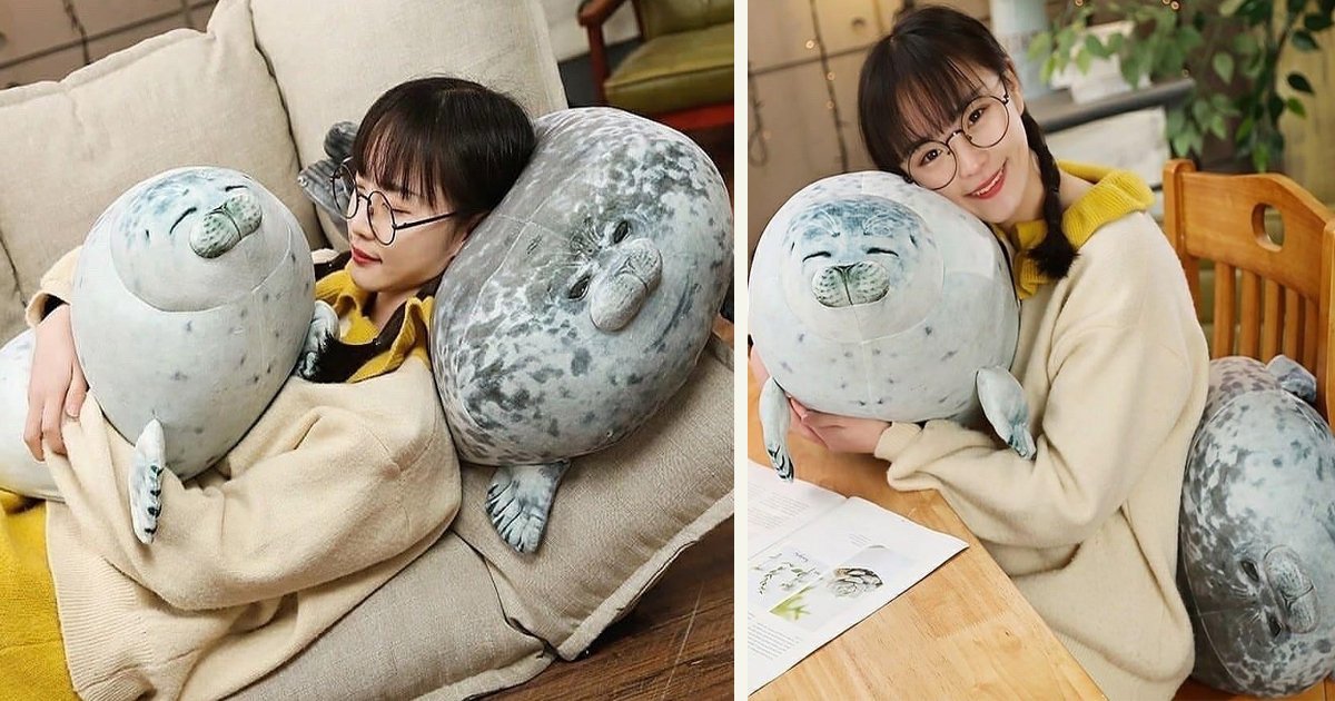 untitled 1 18.jpg?resize=1200,630 - These Squishy Pillows That Look Like Real Seals Are Perfect For Hugging