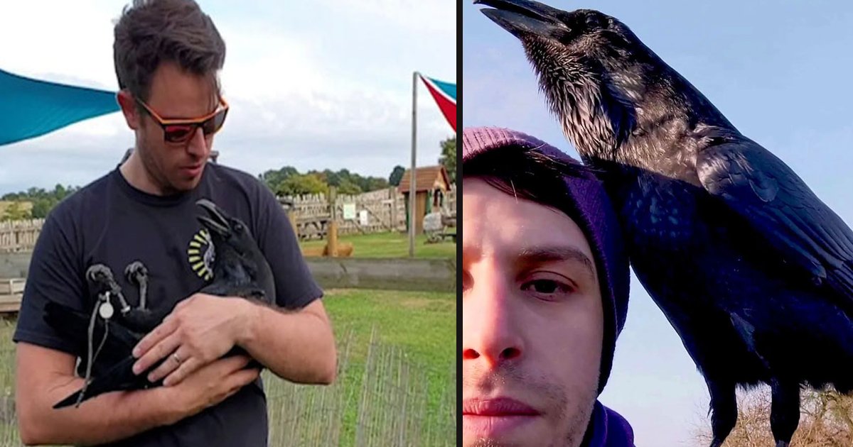 untitled 1 49.jpg?resize=1200,630 - A Man And His Adorable Raven Share An Amazing Bond