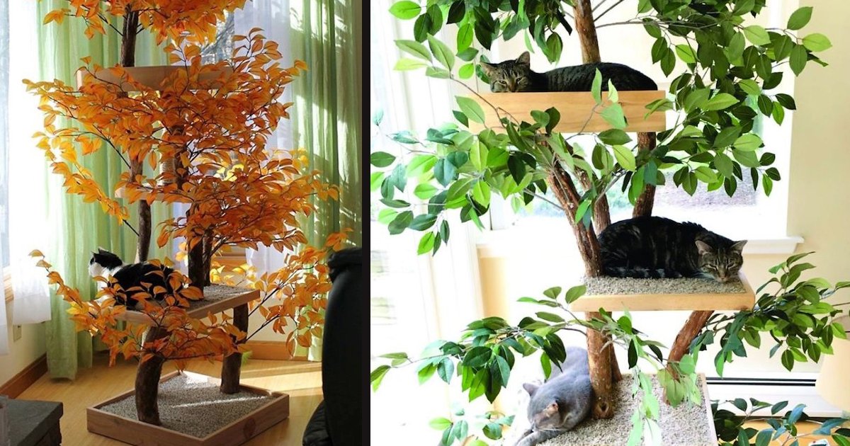 untitled 1 60.jpg?resize=1200,630 - These Indoor Cat Towers That Look Like Real Trees Are Beautiful