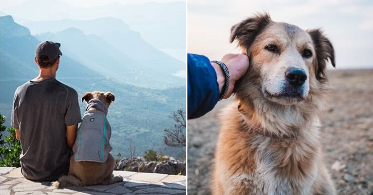 untitled design 22 1.png?resize=412,275 - Man Took His Rescue Dog On An 18,000-Mile Walk Across The World