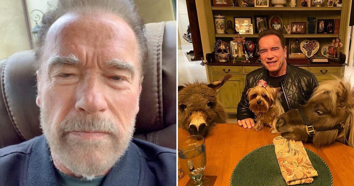 untitled design 23 1.png?resize=1200,630 - Arnold Schwarzenegger Urged People To Stay At Home As He Self-Isolated With His Pets