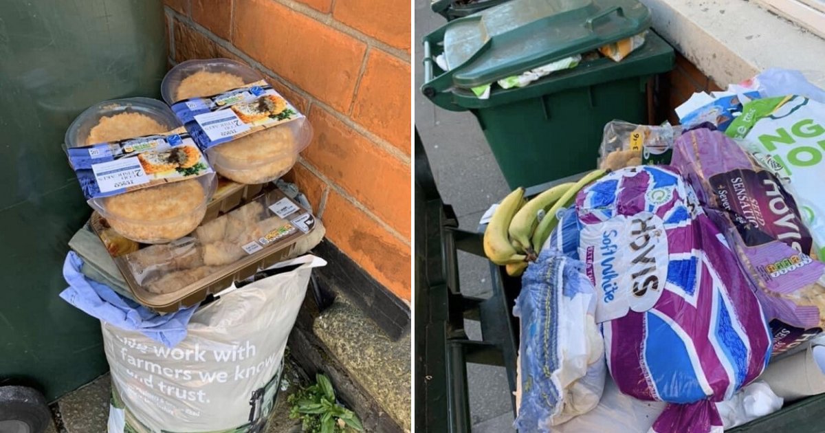 untitled design 26 2.png?resize=412,275 - Official Shared Pictures Of Trash Bins Filled With Fresh Foods Amid Coronavirus Lockdown