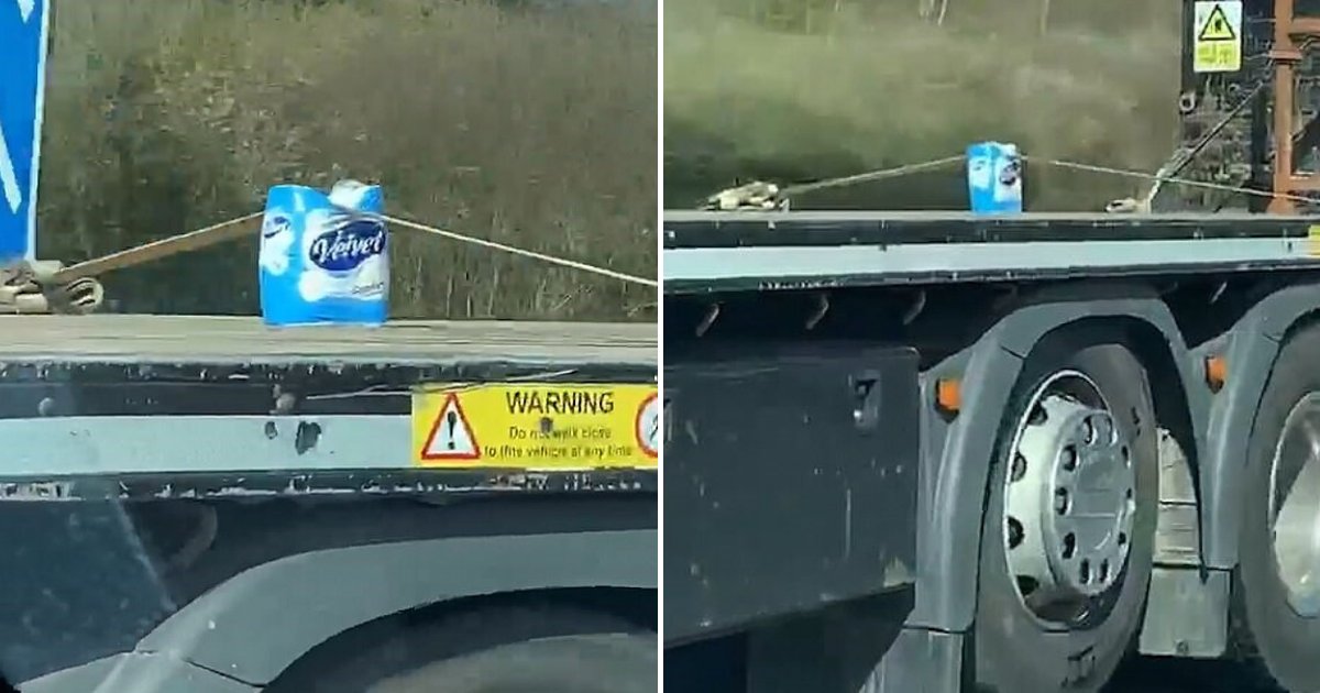 untitled design 3 1.png?resize=1200,630 - Truck Spotted Driving Around With A Single Pack Of Toilet Paper