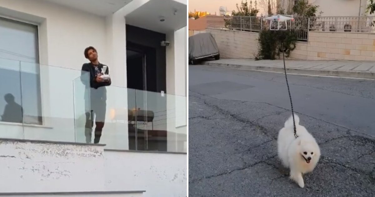 untitled design 36 1.png?resize=412,275 - Owner Takes His Dog For A Walk Using A Drone Amid Coronavirus Lockdown