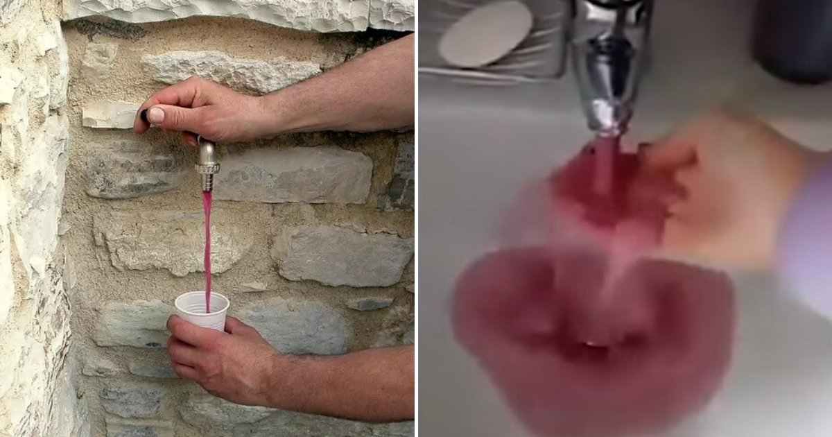 untitled design 56.png?resize=412,232 - Wine Came Pouring Out Of Kitchen Taps After A Technical Fault At Local Winery