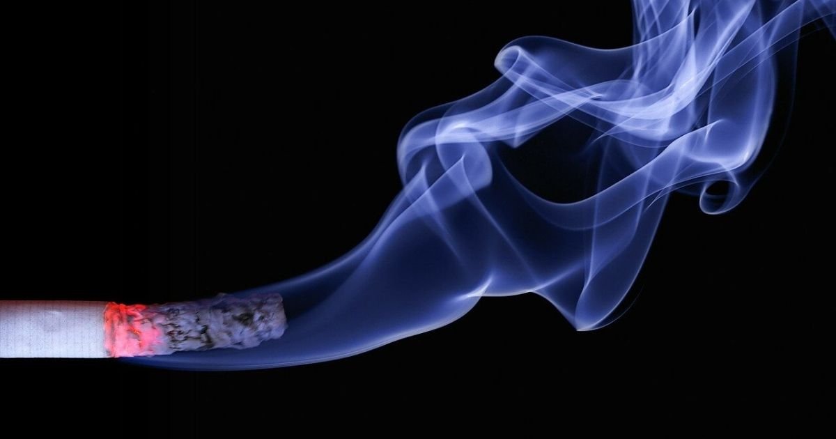 vonjour 1.jpg?resize=1200,630 - Une nouvelle étude révèle les risques pour la santé de l'odeur de fumée de cigarette