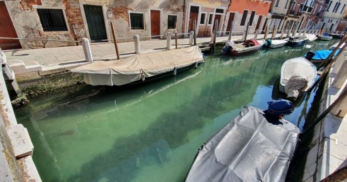 vonjour11.jpg?resize=1200,630 - Grâce au confinement en Italie, l'eau des canaux de Venise ont retrouvé leur limpidité
