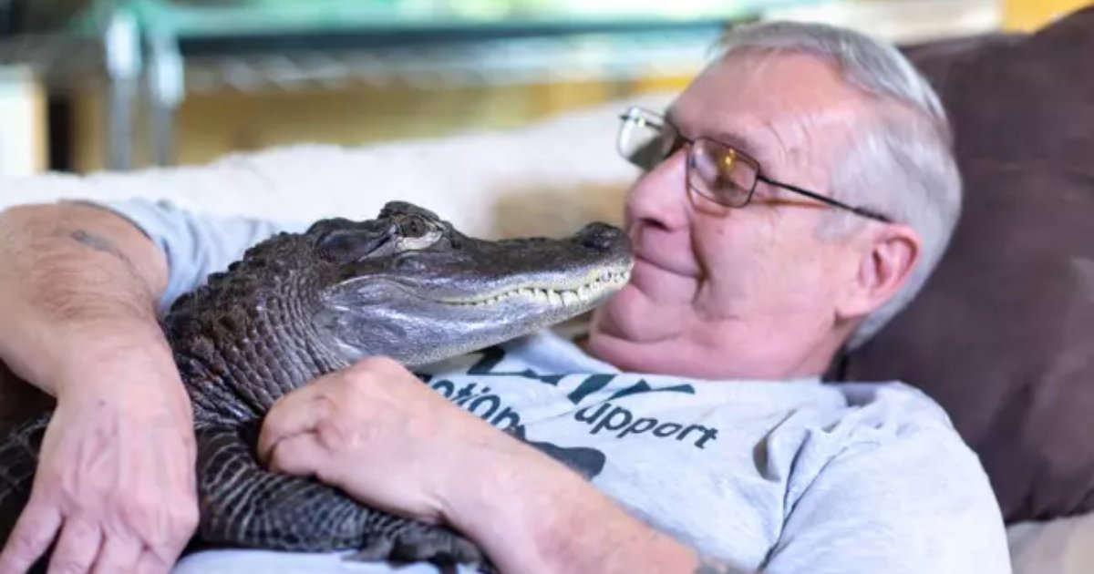 wally5.png?resize=1200,630 - Emotional Support Alligator Helped Man Through Depression By Giving Hugs And Kisses