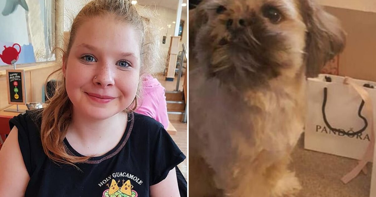 y1 2.png?fit=1024%2C538&ssl=1&strip=all - Schoolgirl Found Safe And Well After She Went Missing For Two Days 