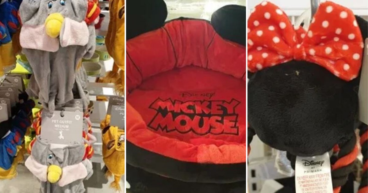 y11 1.png?resize=1200,630 - Primark Is Now Selling Many Disney Pet Range Items 