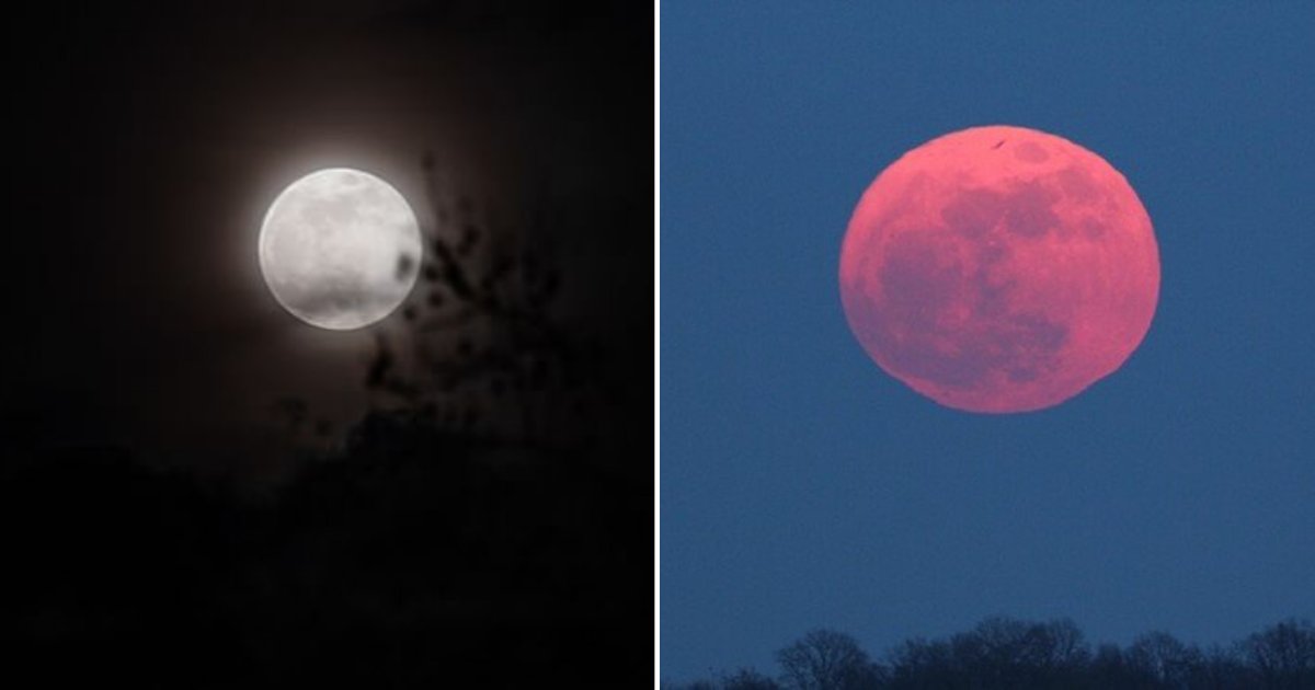 1 11.png?resize=412,275 - A Pink Supermoon is Speculated to Appear in April, Paving the Way For Biggest and Brightest Lunar Event of the Year