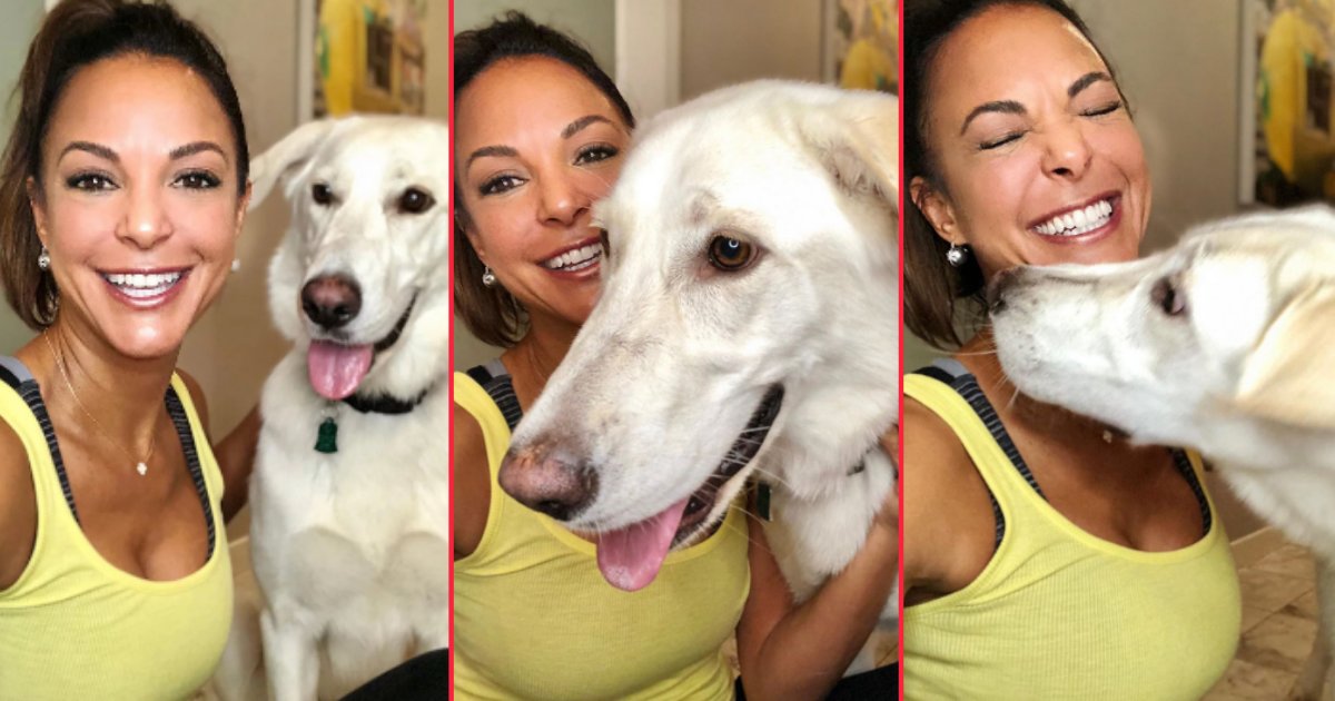 1 73.png?resize=412,275 - Eva LaRue, John Callahan‘s Ex-Wife, Adopted His Dog After His Sudden Passing