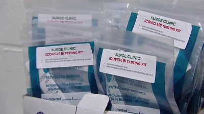 Cómo funciona el examen del coronavirus – Telemundo Nueva Inglaterra