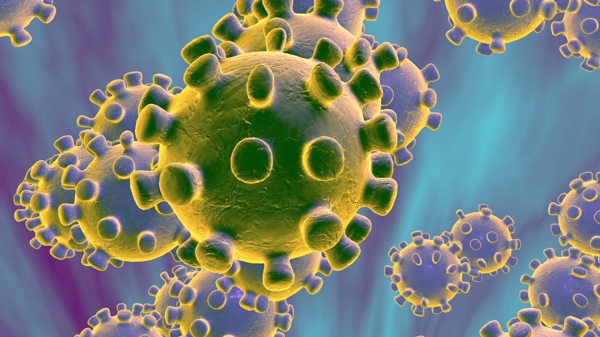 La tasa de mortalidad del coronavirus ronda el 0,66%, según un ...