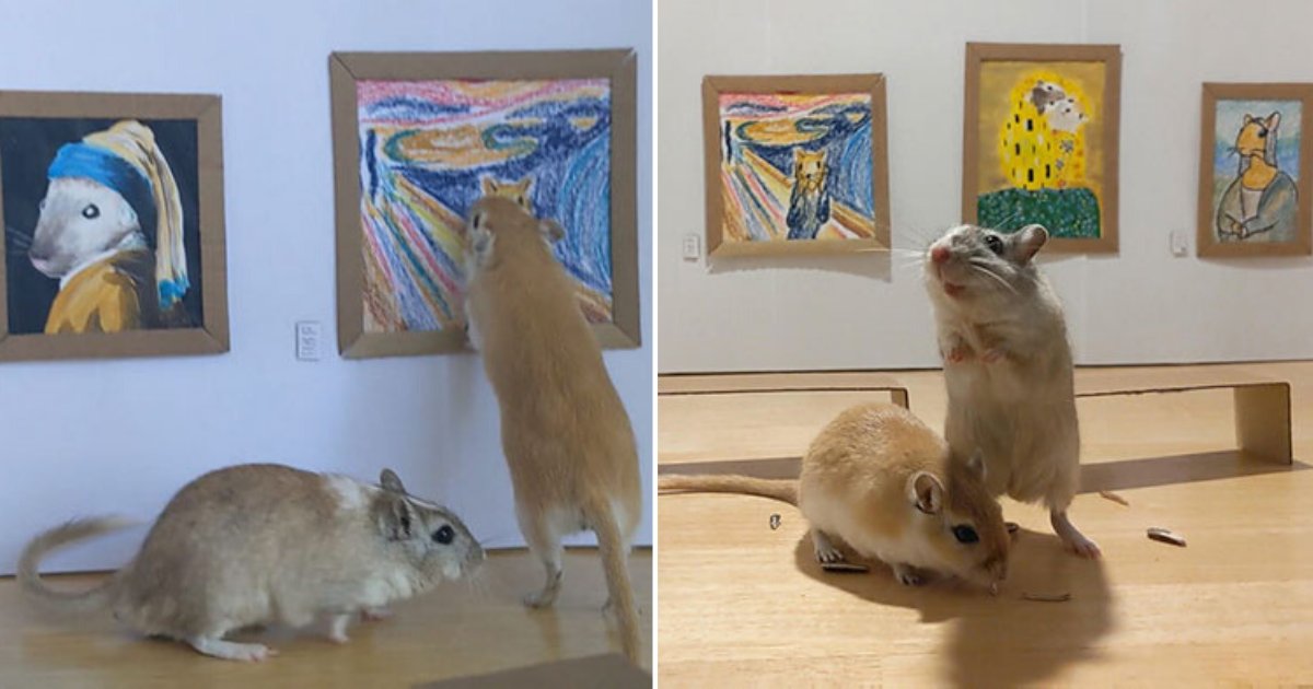 2 27.png?resize=1200,630 - A Couple in Quarantine Built a Fabulous Art Gallery for Their Gerbils