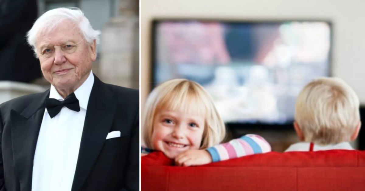 2 65.png?resize=412,275 - David Attenborough Confirmed To Teach In BBC Kids Lessons