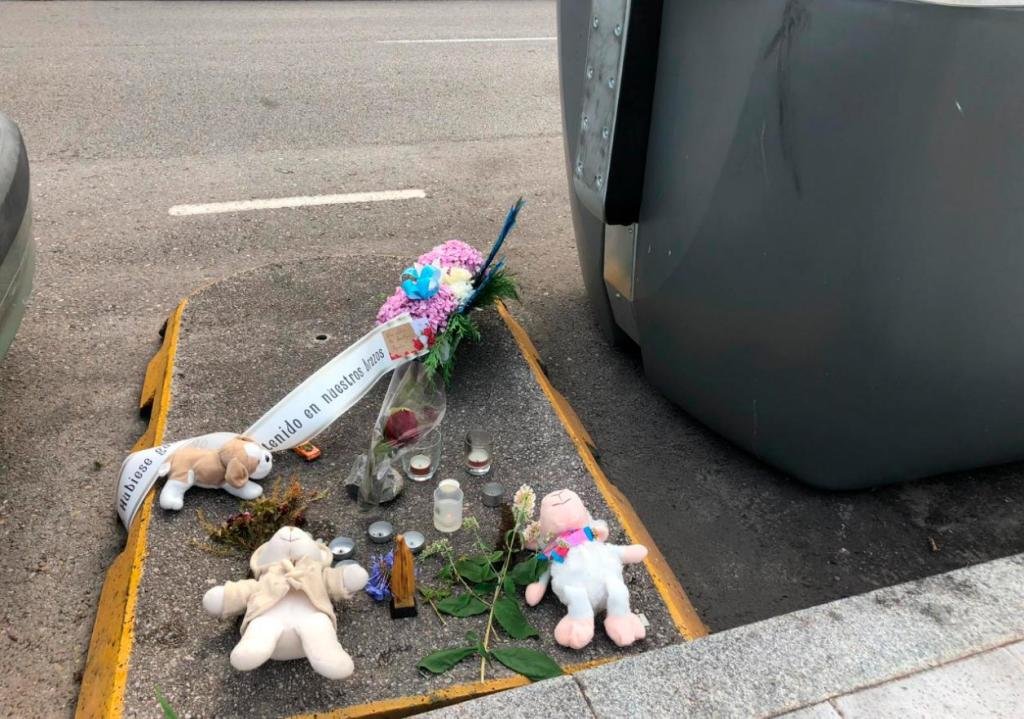 Asesinato en Gijón: La madre del bebé hallado en la basura, en ...