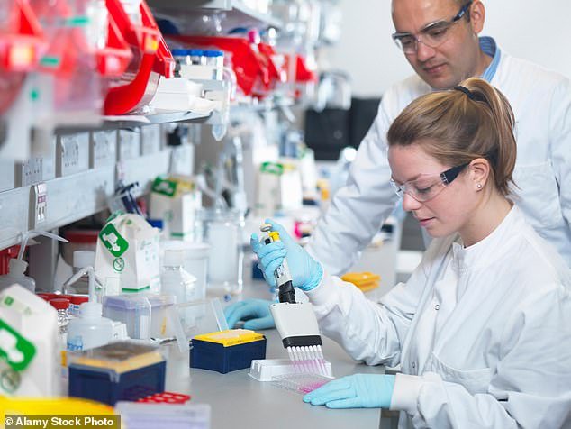 Pictured: An Oxford University Jenner Institute scientist using a multi-channel pipette