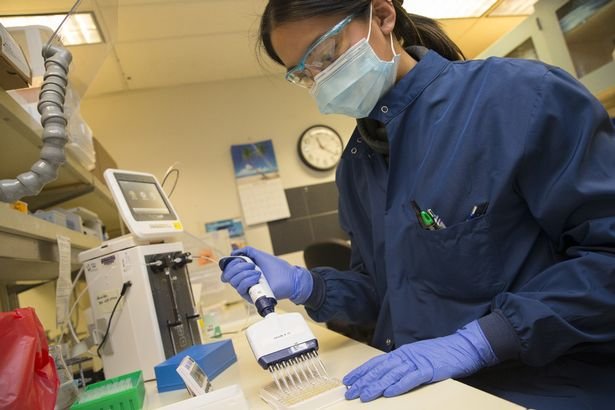 Coronavirus antibody test with 99 per cent accuracy set to be ...